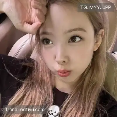 司达蕾